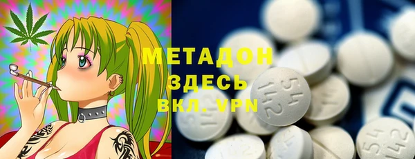 сатива Беломорск