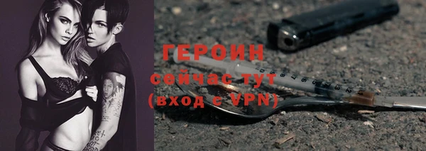 сатива Беломорск