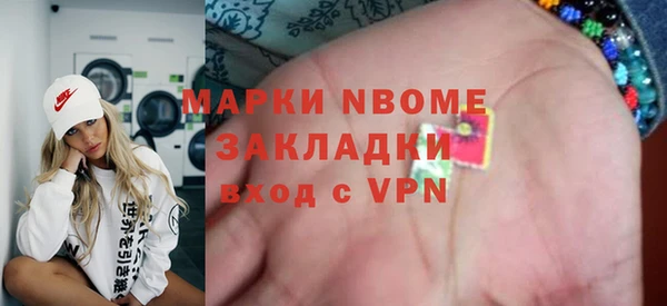 сатива Беломорск