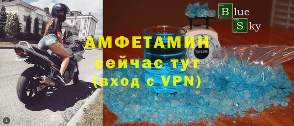 сатива Беломорск