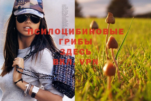 2c-b Белокуриха