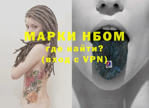 сатива Беломорск