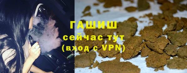 сатива Беломорск