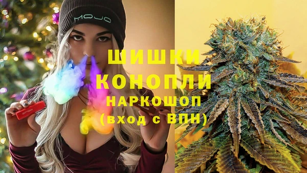 сатива Беломорск
