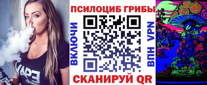 Купить закладки  Новохопёрск  Галлюциногенные грибы прущие грибы 