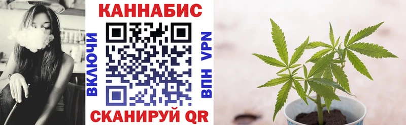 Купить где  Новохопёрск  Шишки марихуана сатива 